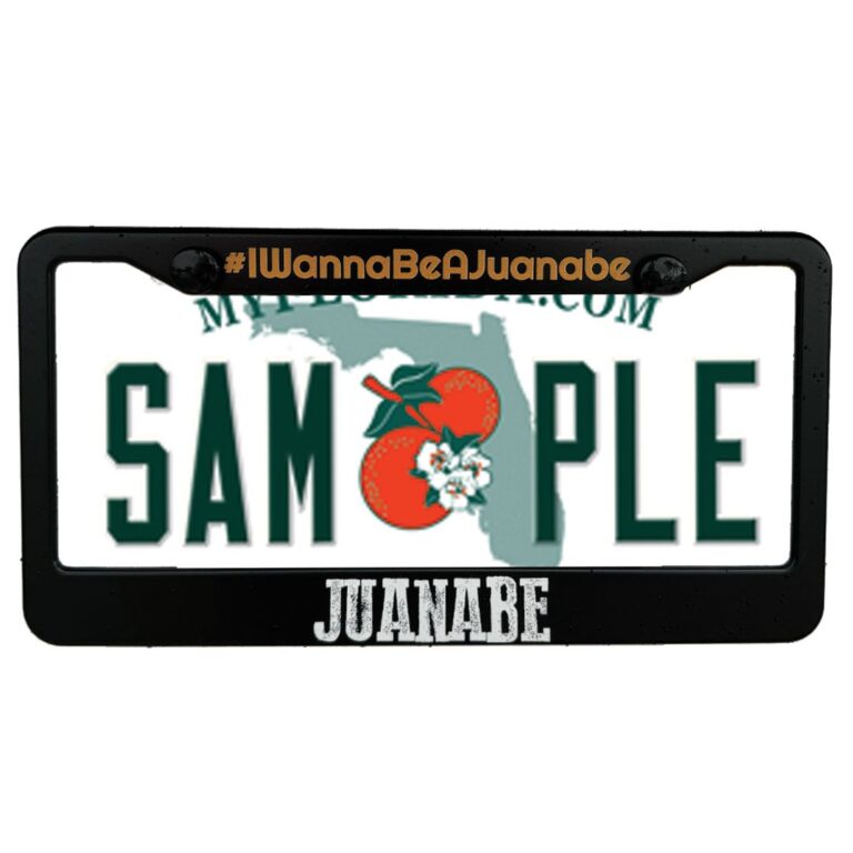 LICENSE PLATE